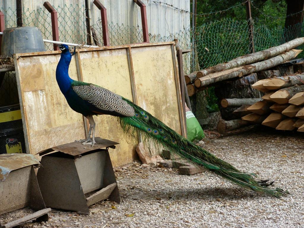 Societa Agricola F.Lli Angelucci Villa Cannara Luaran gambar