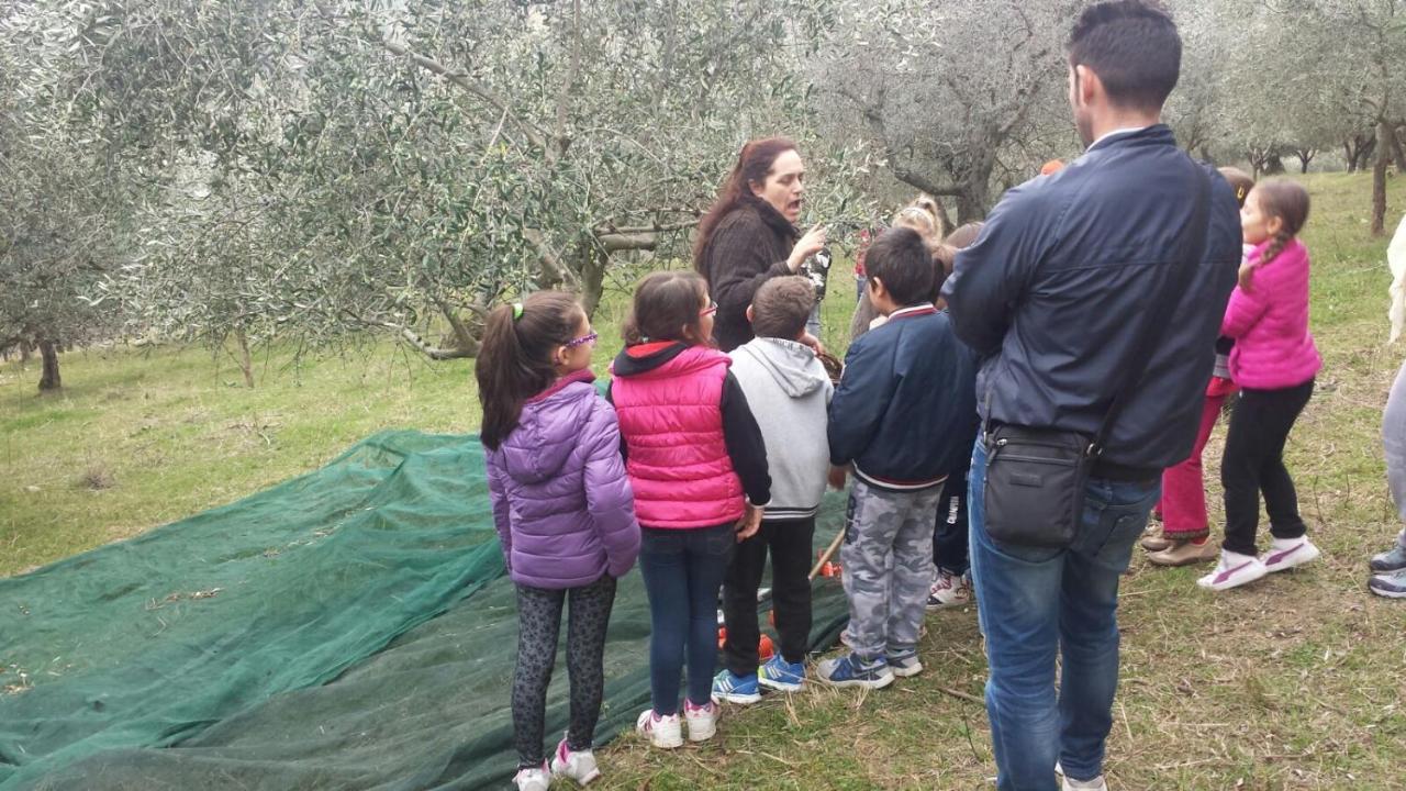 Societa Agricola F.Lli Angelucci Villa Cannara Luaran gambar